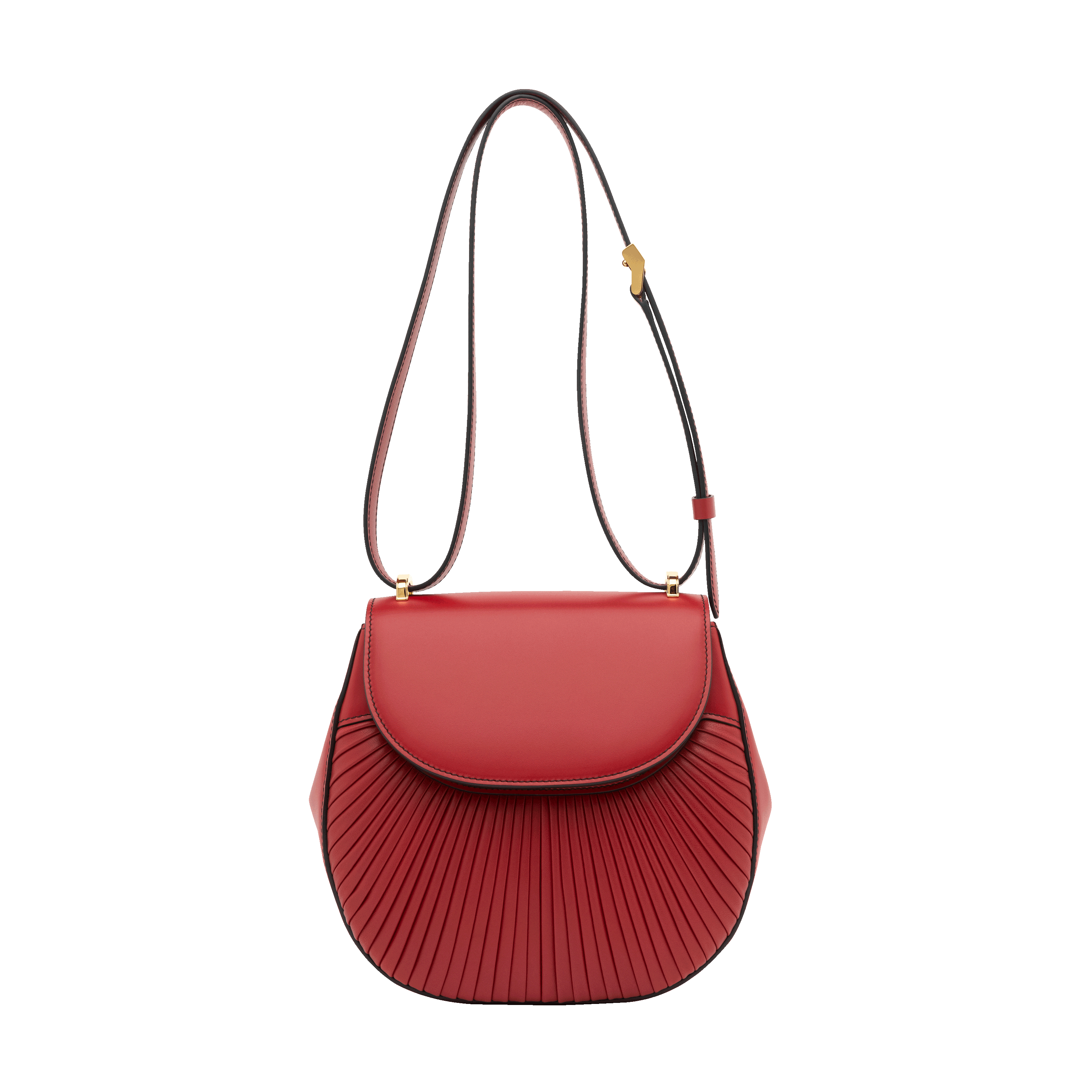 Bl Saddlebagred Front