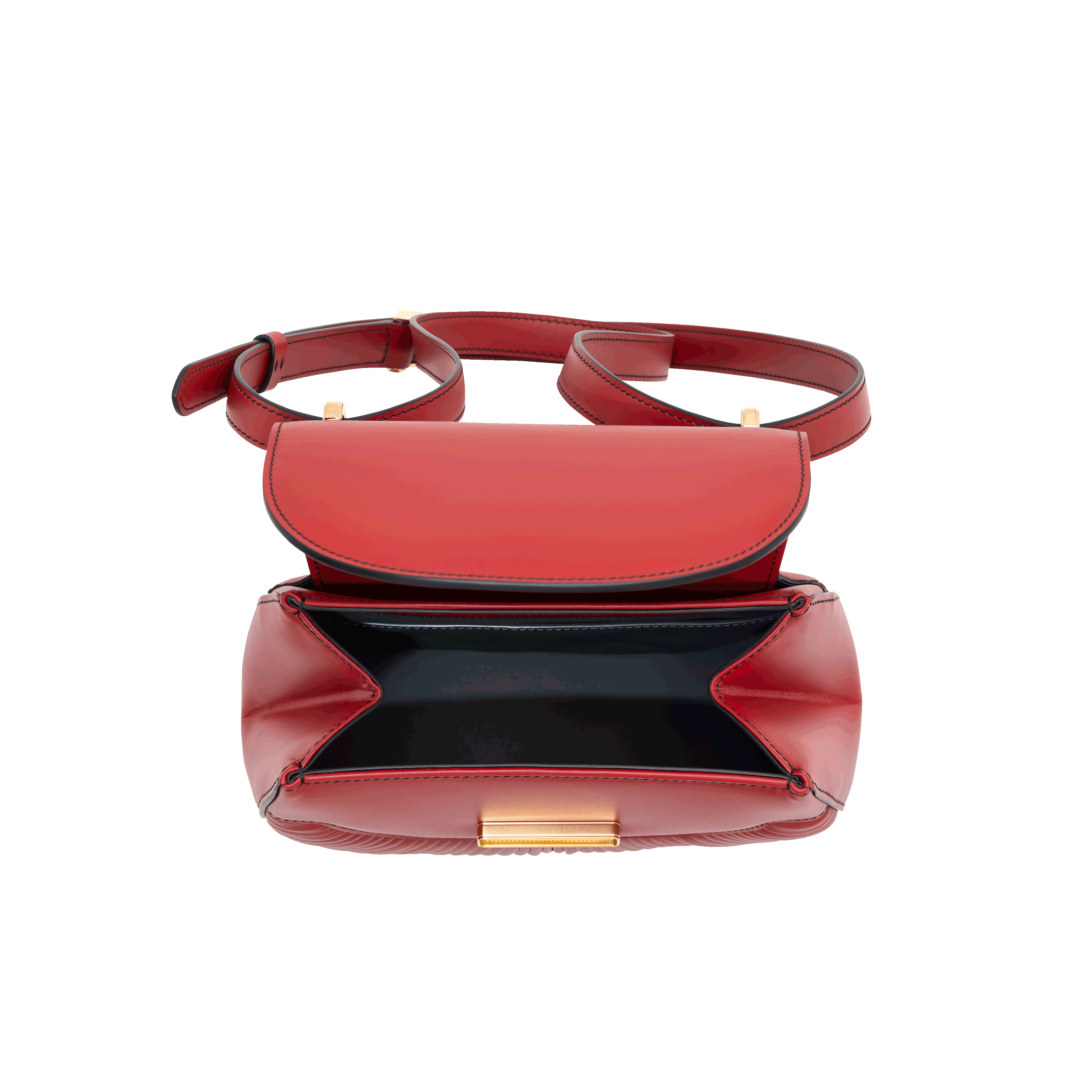Bl Saddlebagred Open